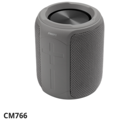 Streetz vattentålig BT högtalare, TWS, 10 W, IPX7, 3.5 mm, grå CM766