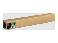 Epson Fine Art II - Bomull - matt - 515 mikron - ljus textur - Rulle (111,8 cm x 15 m) - 300 g/m² - 1 rulle (rullar) box - lumppapper C13S450286NQ