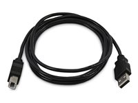 StarTech.com - USB-kabel - TAA-kompatibel - USB (hane) till USB typ B (hane) - USB 2.0 - 3 m SKUSBAB10-TAA