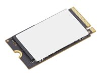 Lenovo - SSD - 1 TB - inbyggd - M.2 2242 - PCIe 4.0 x4 - för ThinkBook 14 G6 IRL; 16 G6 IRL; 16 G7 ARP; 16 G7 IML; ThinkPad T16 Gen 4 4XB1P80585