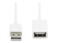 StarTech.com 3m White USB 2.0 Extension Cable Cord - A to A - USB Male to Female Cable - 1x USB A (M), 1x USB A (F) - White, 3 meter (USBEXTPAA3MW) - USB-förlängningskabel - USB (hona) till USB (hane) - USB 2.0 - 3 m - formpressad - vit - för P/N: MSDREADU2OTG, USBEXTPAA1MW, USBEXTPAA2MW, USBPAUB1MW, USBPAUB2MW, USBPAUB50CMW USBEXTPAA3MW