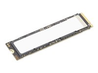 Lenovo - SSD - krypterat - 2 TB - prestanda - inbyggd - M.2 2280 - PCI Express 5.0 x4 (NVMe) - TCG Opal Encryption 2.0 - CRU - för ThinkPad P1 Gen 8; P14s Gen 6; X1 2-in-1 Gen 10; ThinkStation P3 Gen 2; P3 Tiny Gen 2 4XB1S30114