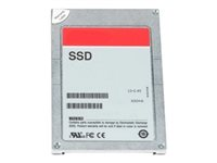 Dell - Kundsats - SSD - Mixed Use - krypterat - 1.6 TB - 512e - 2.5" (i 3,5-tums hållare) - SAS 24Gb/s - FIPS 140 345-BJTZ