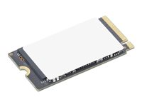 Lenovo - SSD - krypterat - 128 GB - inbyggd - M.2 2242 - PCIe 4.0 (NVMe) - TCG Opal Encryption 2.0 - blå - för 100w Gen 5; 300w 2-in-1 Gen 5; 500w 2-in-1 Gen 5; ThinkCentre neo 50q Gen 4; 50q Gen 5 4XB1T94543