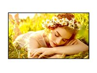 LG 55UL5Q-E - 55" Diagonal klass UL5Q-E Series LED-bakgrundsbelyst LCD-skärm - digital skyltning med integrerat Pro:Idiom - webOS - 4K UHD (2160p) 3840 x 2160 - Direct LED - svart 55UL5Q-E