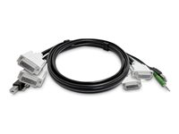 StarTech.com - Adapterkabel - TAA-kompatibel - DVI-D, DisplayPort, USB typ B, 3,5 mm ljuduttag till HDMI, DisplayPort, 3,5 mm ljuduttag, USB - passiv SKDVI2HDDP06MMKVM06T