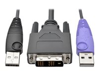 Eaton Tripp Lite Series DVI USB Server Interface w/ Virtual Media & CAC for B064 KVMs TAA - Förlängare för tangentbord/video/mus/USB - upp till 50 m - TAA-kompatibel - för P/N: B064-016-02-IPH, B064-016-04-IPH, B064-032-01-IPH, B064-032-02-IPH, B064-032-04-IPH B055-001-UDV