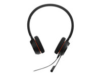 Jabra Evolve 20 UC stereo - Headset - på örat - kabelansluten - USB-C - ljudisolerande 4999-829-289