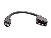 C2G AV Controller Administrator Key - USB-adapter - mini-USB typ A (hane) till USB (hona) - 30 V - formpressad - svart C2G40691
