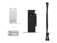 NVIDIA RTX 2000 Ada - Grafikkort - NVIDIA RTX 2000 Ada - 16 GB GDDR6 - PCIe 4.0 x8 låg profil - 4 x DisplayPort 4X61P69962